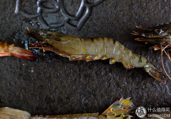 虾有多少品种，淡水虾有哪些品种（虾类双11购买攻略富山虾）