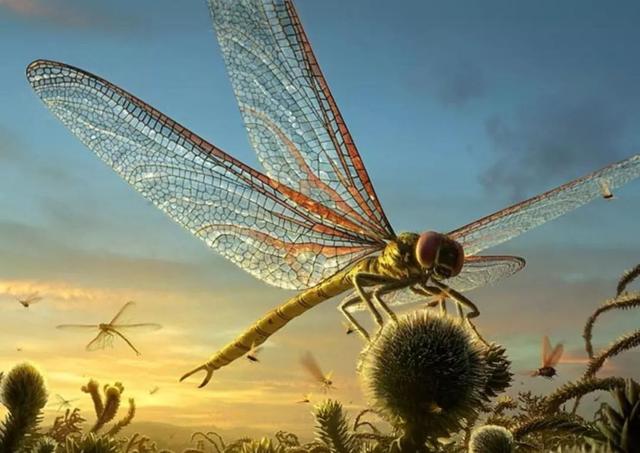 世界上最大的虫子，世界上最大的虫子是什么虫子（地球上已知的有史以来最大的昆虫）