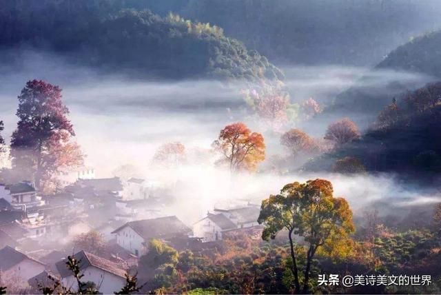醉里吴音相媚好的意思，相媚好什么意思（辛弃疾很有趣的一首词）