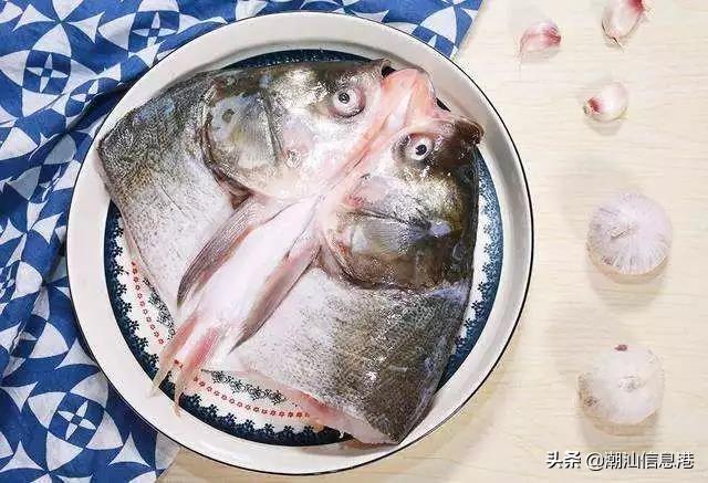 草鱼头汤的功效与作用，潮汕俗语“草鱼头，鲤姑喉”（草鱼头汤有什么营养和功效）