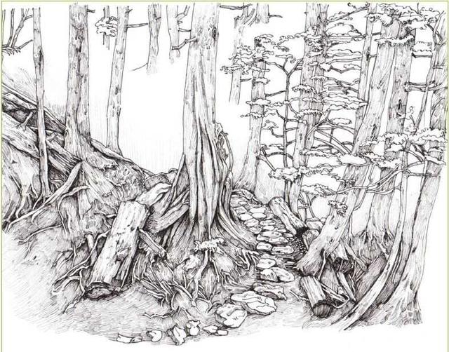 马克笔绘画教程风景画，马克笔绘画教程入门（适合初学者学习的彩铅风景画步骤教程）