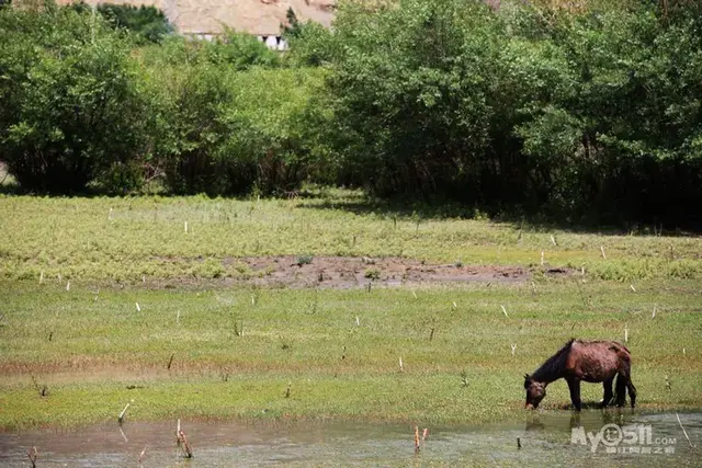 我的家乡在日喀则是什么歌，我的家乡在日喀则是什么歌歌词是什么意思（行走在通天的路上<中>）