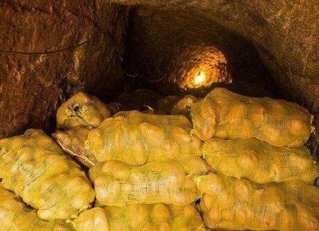 圖片[3]-紅薯保存方法 放一年不壞 越放越甜！-起舞食譜網(wǎng)