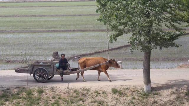 朝鲜观察，从吃住行看朝鲜百姓的生活现状