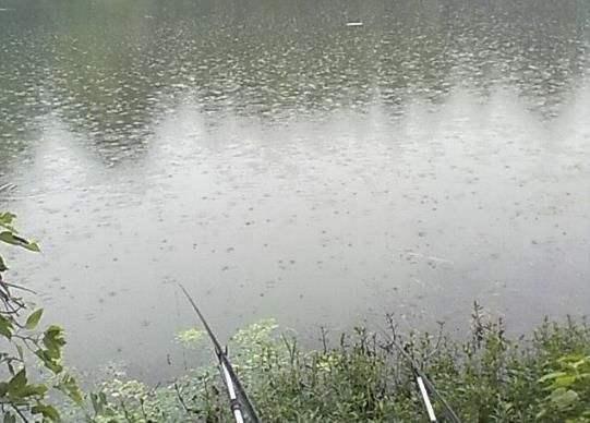 晴天气压高还是阴天气压高，晴天的气压高还是阴天气压高（那么是不是在阴天就不适合钓鱼了呢）