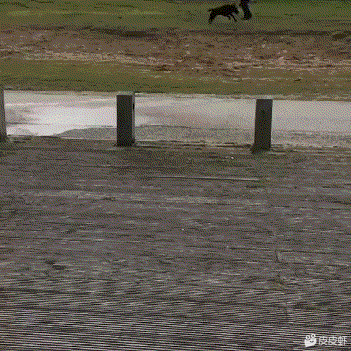 耗油根是什么意思，蚝油是用来干嘛的（有这样的游戏你会玩吗）