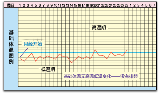 产科建大卡一般是几个月，如何知道我是不是怀孕了