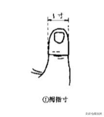 刮痧的作用和功效 刮痧是泄气还是补气，刮痧的作用和功效（湿气的故事——掌握居家健脾祛湿小妙招）