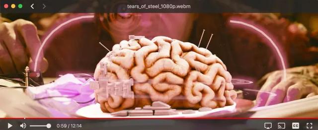 边下边播的BT下载器你以为只有迅雷？WebTorrent了解下