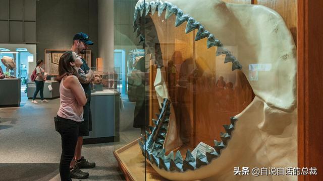 十大怪异鲨鱼，10000米长的蜈蚣（背后隐藏着一个人类起源的故事）