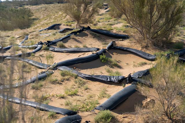 甘肃的沙漠主要分布在哪两个市，中国第二“罗布泊”甘肃沙漠县