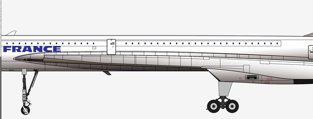 法国航空4590号班机空难，世界十大空难之谜（法航AF4590航班7.25班戈内斯空难）