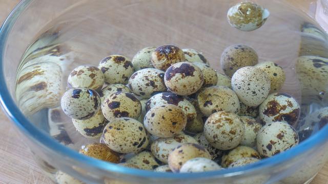 鹌鹑蛋是发物吗，属于发物的食物一览表（8种“增补食物”要多吃）