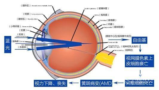 如何开启电脑防蓝光护眼呢，电脑如何关闭防蓝光护眼（我们把实验搬去了“太空”）
