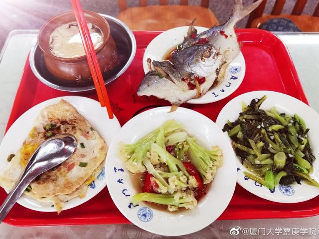 厦门大学嘉庚学院是几本，厦门嘉庚学院怎么样（这5所大学伙食堪比饭店）
