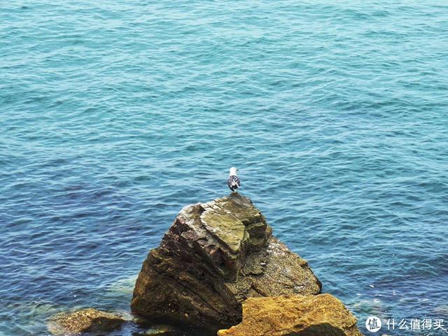 长岛旅游攻略，长岛旅游攻略必玩的景点（周末随心飞之烟台长岛2天1晚小攻略）