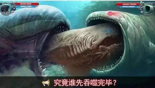 姥鲨张口吞万物，真·现实版“鲲”？海洋巨兽滤食奇观引热议