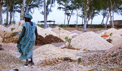 的贝壳填空，什么的贝壳填空（900年用了300万吨贝壳堆起的岛屿）