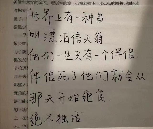 手写文字图片，手机制作手写文字图片（手写文字背景图‖“这些个字体可太好看了）