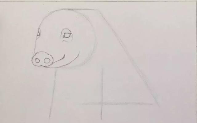 猪头简笔画怎么画，让我们一起学一下小猪简笔画吧