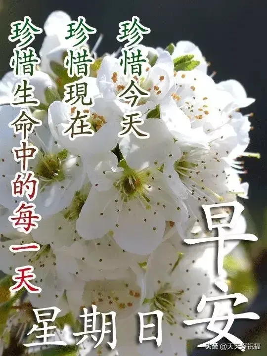 祝福的句子简短，祝福的句子简短朋友（新的一天早安朋友圈简短祝福语）