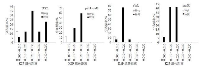 库拉索芦荟的功效与作用，库拉索芦荟（为何库拉索芦荟能一枝独秀）