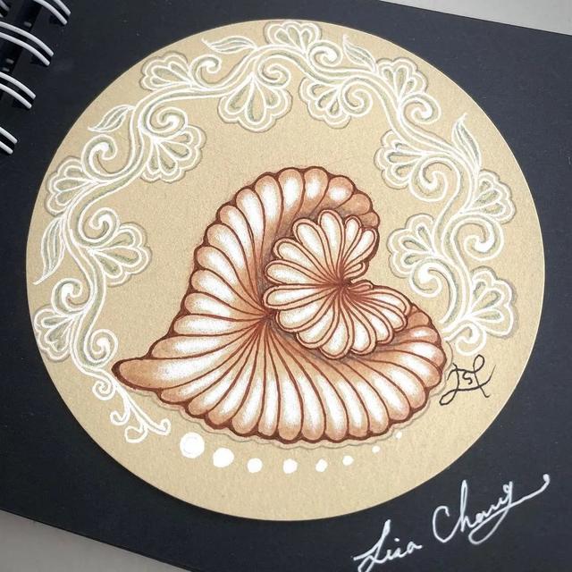 用圆规画出的精美图案，怎样用圆规画好看的图案（画出简单有创意的装饰禅绕画）