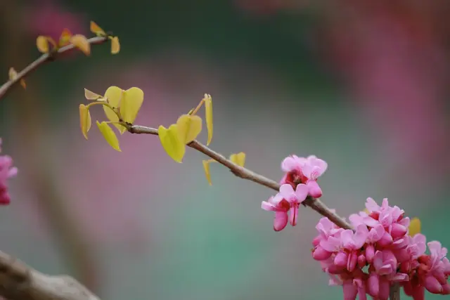 岁月静好，岁月静好是因为有人为我们负重前行的文章（《岁月静好》图片）