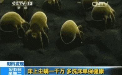 小螨虫的危害有多大，小小的螨虫对人体的危害有多大