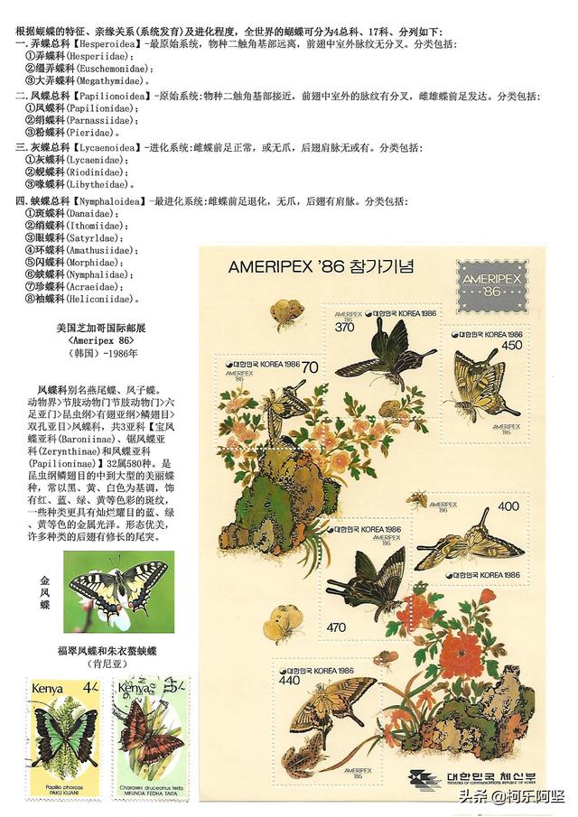 蝴蝶和蛾子的区别，蝴蝶和飞蛾有什么区别（鳞翅目昆虫-蝴蝶与蛾）