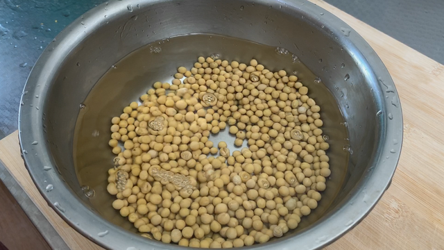 如何生绿豆芽和黄豆芽，不用土壤不用肥料