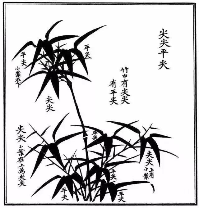 竹子漂亮简单画法,怎样画竹子最好看又简单 竹子漂亮简单画法,怎样画竹子最好看又简单