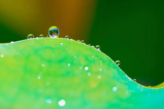 冬至饺子夏至面下一句是什么，冬至饺子夏至面完整句子是什么（今日夏至，向阳而立，拥抱缤纷）