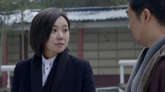 闫妮拍过的电视剧，闫妮出演过哪些电视剧呢（闫妮主演的电视剧哪部好看）
