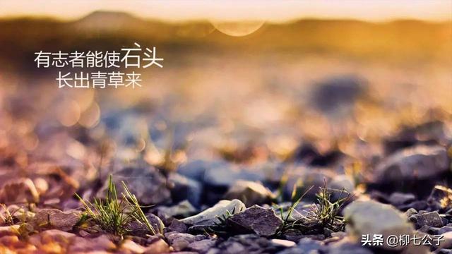 低谷期是什么意思，什么属于低谷期（千万记住这几点）