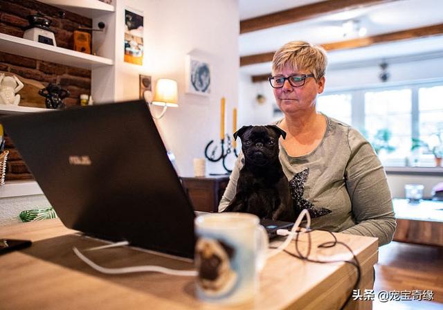 被装在包包里的毛孩纸，被装在包包里的毛孩纸怎么处理（铲屎官为毛孩们所做的事情让人感动图片）