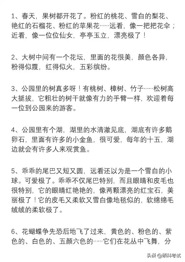 二年级好词好句，二年级好词好句怎么写（小学二年级语文好词、好句积累）