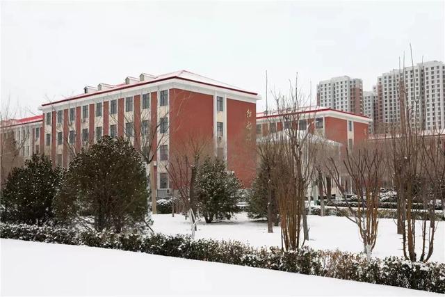 天津农学院是几本，天津农业学院是几本的（天津市普通高等院校）