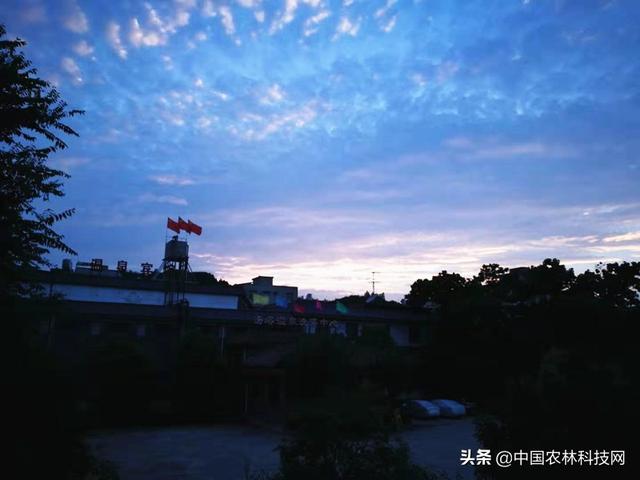 汤峪温泉冬季营业吗营业时间呢，汤峪温泉过年营业么（暂时停下忙碌的脚步）