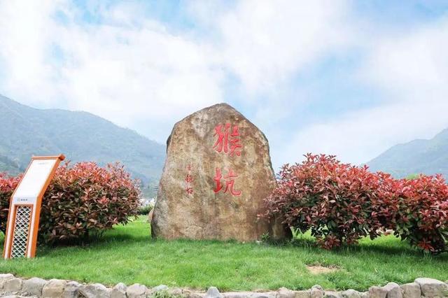 黄山多少钱一盒，黄山天都香烟多少钱一包（太平猴魁和黄山毛峰茶哪个更好喝）