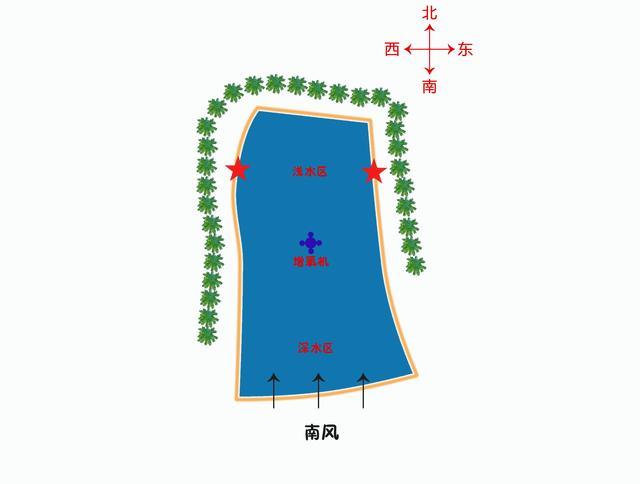 深度解析黑坑钓鱼技术，黑坑选择钓位的高级技巧