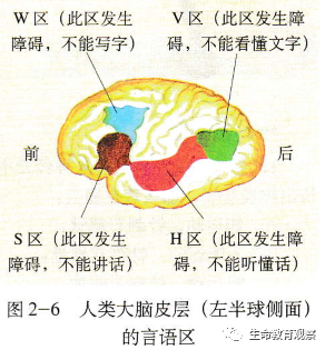 内环境的组成成分，内环境的组成成分含义（高三一轮复习必修三细节梳理和重点题型）