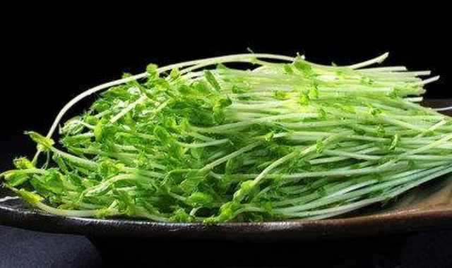 豌豆苗怎么做好吃，豆苗5种最好吃的做法