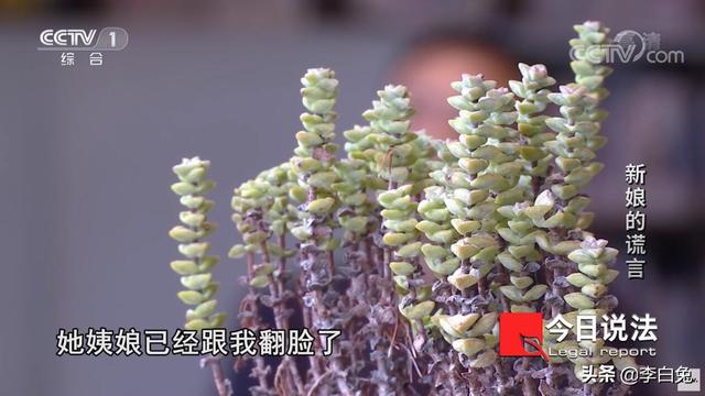 30岁不结婚该判刑，30岁不结婚该判刑 动态（两名奇葩“骗婚女”落网）