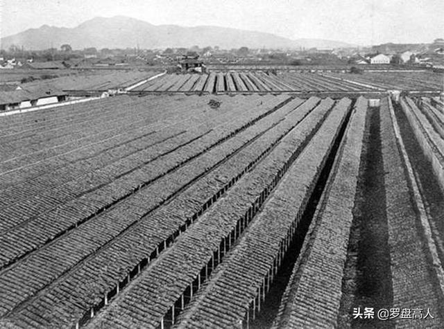 江南贡院位于哪里，江南贡院位于哪个位置（古代中国最大的科举考场）