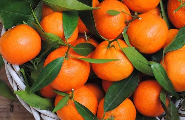 橘子籽的功效及副作用，橘子籽的功效与作用（经常吃橘子籽能够润肠通便）