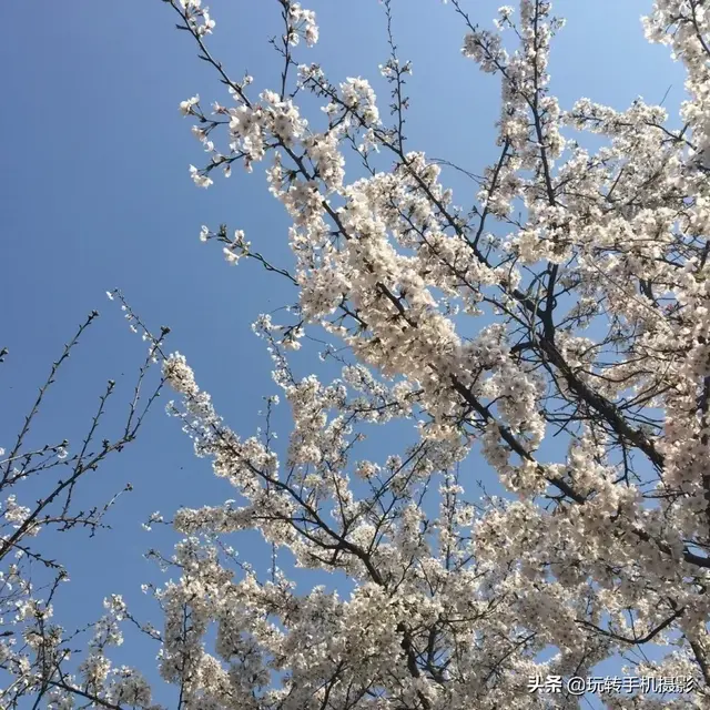 轻颜相机最新版本下载2022免费，轻颜相机免费下载安装（直接抄作业谁修都好看）