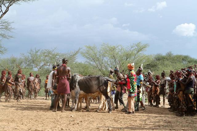 动物马交配，马和人交配（为什么肤色不同的人种）