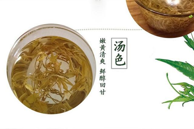泡出来像嫩芽似地茶叶叫什么茶，一泡就像嫩芽一样的茶叫什么（满披白霜、先苦后甜、口感鲜醇清甜、回甘浓烈）