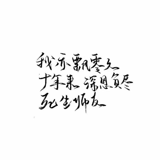 『文字头像』.微信，『文字头像』.（微信个性文字头像）